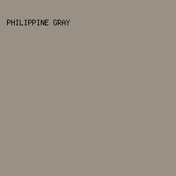 999185 - Philippine Gray color image preview