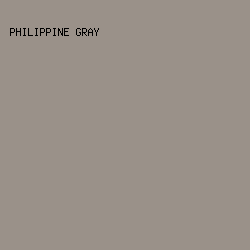 9A9189 - Philippine Gray color image preview