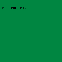 008641 - Philippine Green color image preview