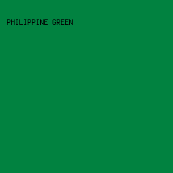 018240 - Philippine Green color image preview
