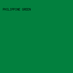 02803E - Philippine Green color image preview