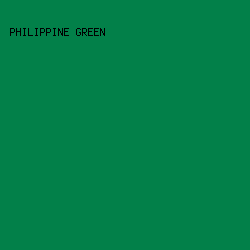 028049 - Philippine Green color image preview