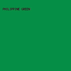 048f45 - Philippine Green color image preview