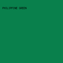 09804C - Philippine Green color image preview