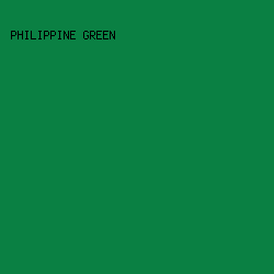 0A8043 - Philippine Green color image preview