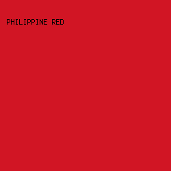 D11524 - Philippine Red color image preview