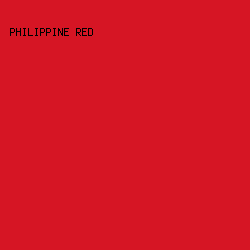 D61524 - Philippine Red color image preview