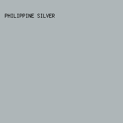 AEB6B8 - Philippine Silver color image preview