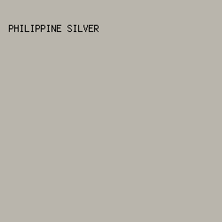 B9B5AC - Philippine Silver color image preview
