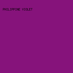 86137B - Philippine Violet color image preview