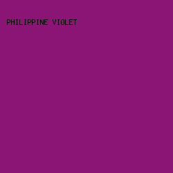 8b1575 - Philippine Violet color image preview