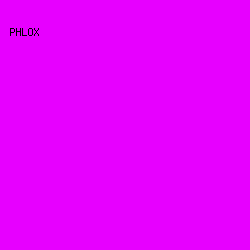 e700ff - Phlox color image preview