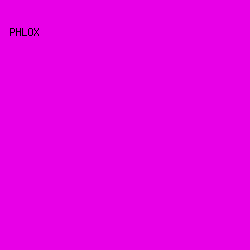 e800e7 - Phlox color image preview