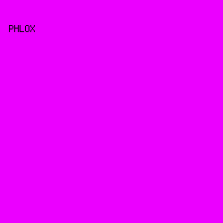 eb00ff - Phlox color image preview