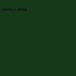 16371a - Phthalo Green color image preview