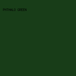 183d18 - Phthalo Green color image preview