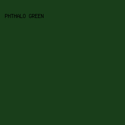 193e1a - Phthalo Green color image preview