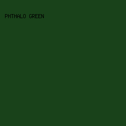 19421A - Phthalo Green color image preview