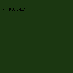 1B3711 - Phthalo Green color image preview