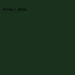 1a321d - Phthalo Green color image preview