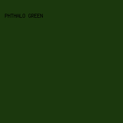 1b380d - Phthalo Green color image preview