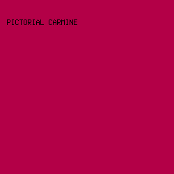 B30047 - Pictorial Carmine color image preview