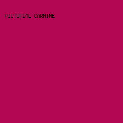 B30753 - Pictorial Carmine color image preview
