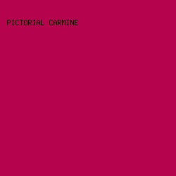 B5034E - Pictorial Carmine color image preview