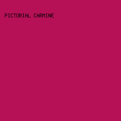 B61156 - Pictorial Carmine color image preview