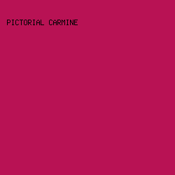 B81254 - Pictorial Carmine color image preview