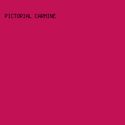 C31155 - Pictorial Carmine color image preview