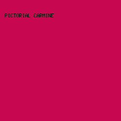 C70851 - Pictorial Carmine color image preview