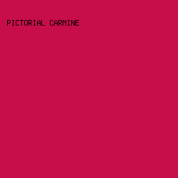 C80E48 - Pictorial Carmine color image preview