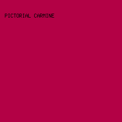 b30145 - Pictorial Carmine color image preview