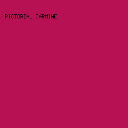 b71154 - Pictorial Carmine color image preview