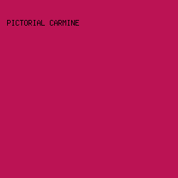 bb1354 - Pictorial Carmine color image preview