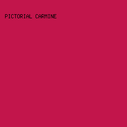 c2154b - Pictorial Carmine color image preview