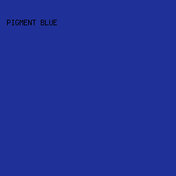 203099 - Pigment Blue color image preview