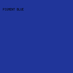 20359A - Pigment Blue color image preview