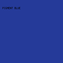 253A99 - Pigment Blue color image preview