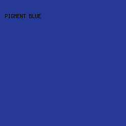 263997 - Pigment Blue color image preview