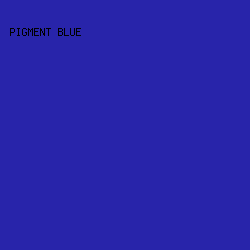 2824AA - Pigment Blue color image preview