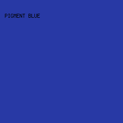 2839A5 - Pigment Blue color image preview