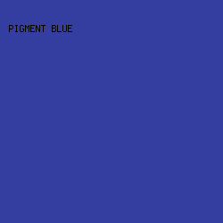 343EA0 - Pigment Blue color image preview