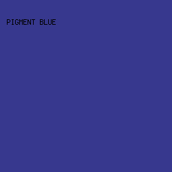37388E - Pigment Blue color image preview
