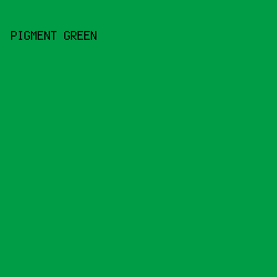 009c46 - Pigment Green color image preview