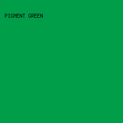 009e49 - Pigment Green color image preview