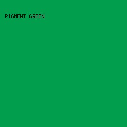009e4d - Pigment Green color image preview