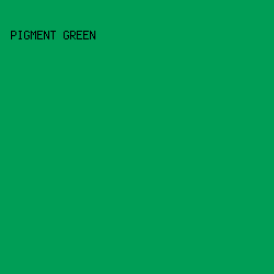 009e56 - Pigment Green color image preview