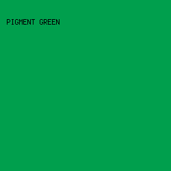 009f4d - Pigment Green color image preview